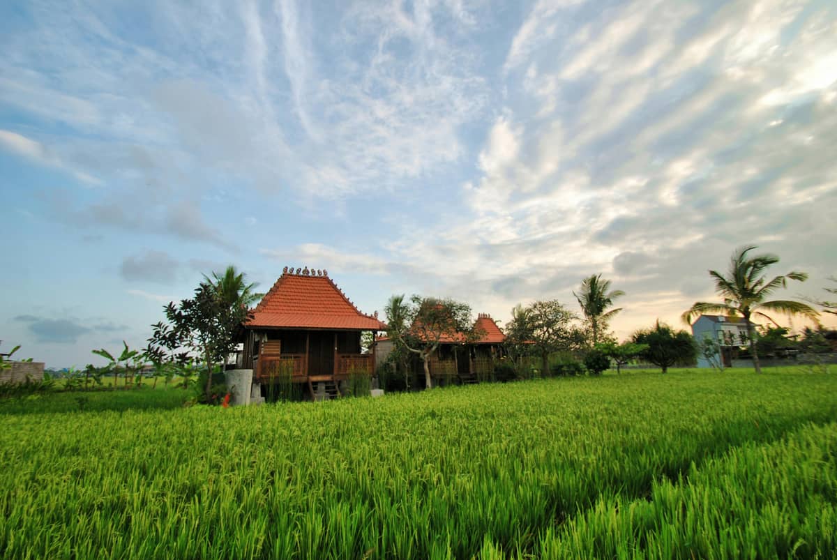 Ubud